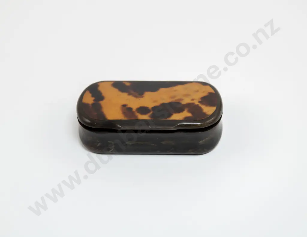 Late Victorian Plain Tortoise Shell and Horn Snuff Box Image 1++