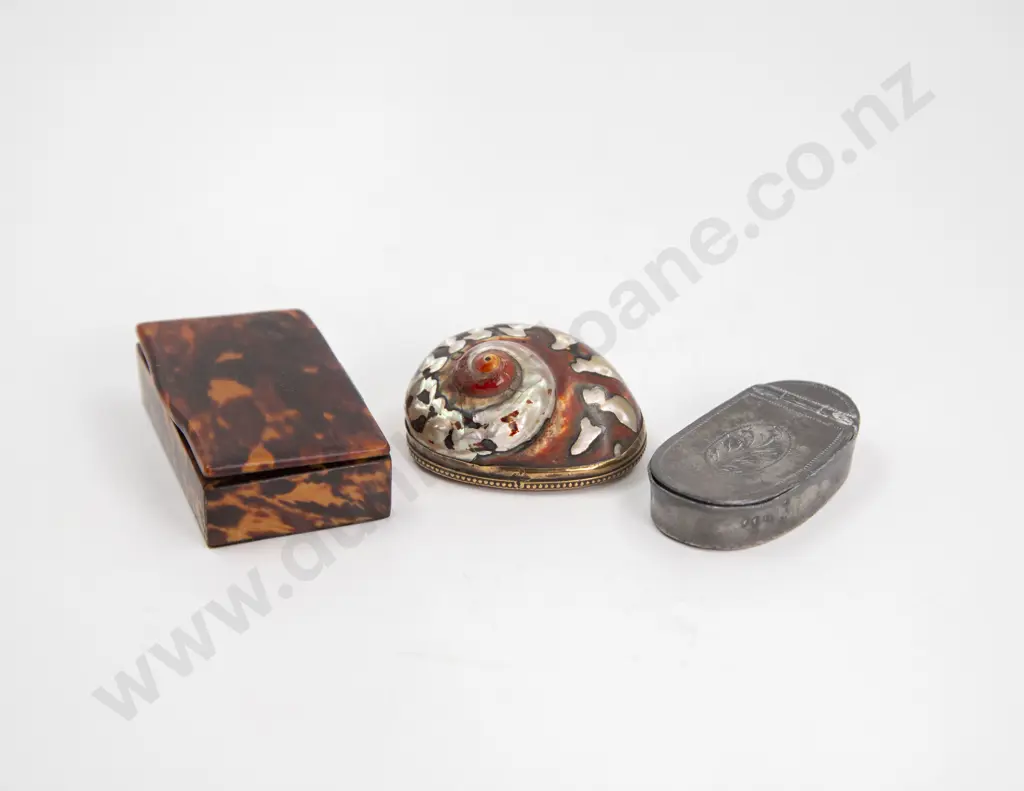 Victorian Tortoise Shell Snuff Box Image 1++