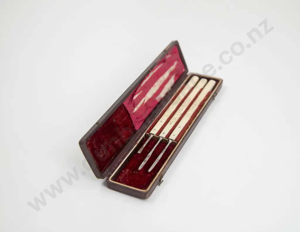 Early C19th Naval Cased Three Surgeons Scalpel Knives Image 1++