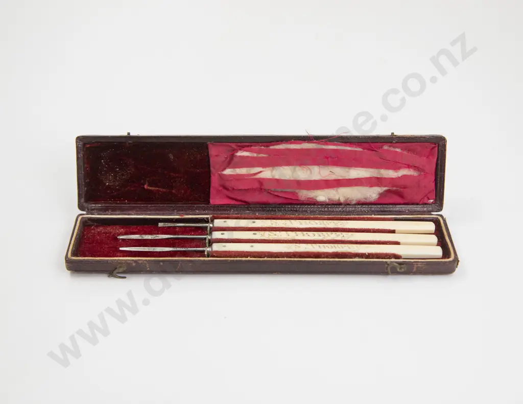 Early C19th Naval Cased Three Surgeons Scalpel Knives Image 1++
