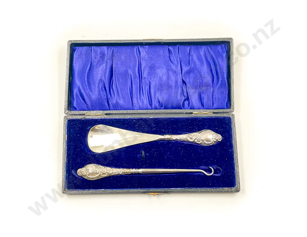 Cased S/S Handled Button Hook and Shoe Horn Image 1++