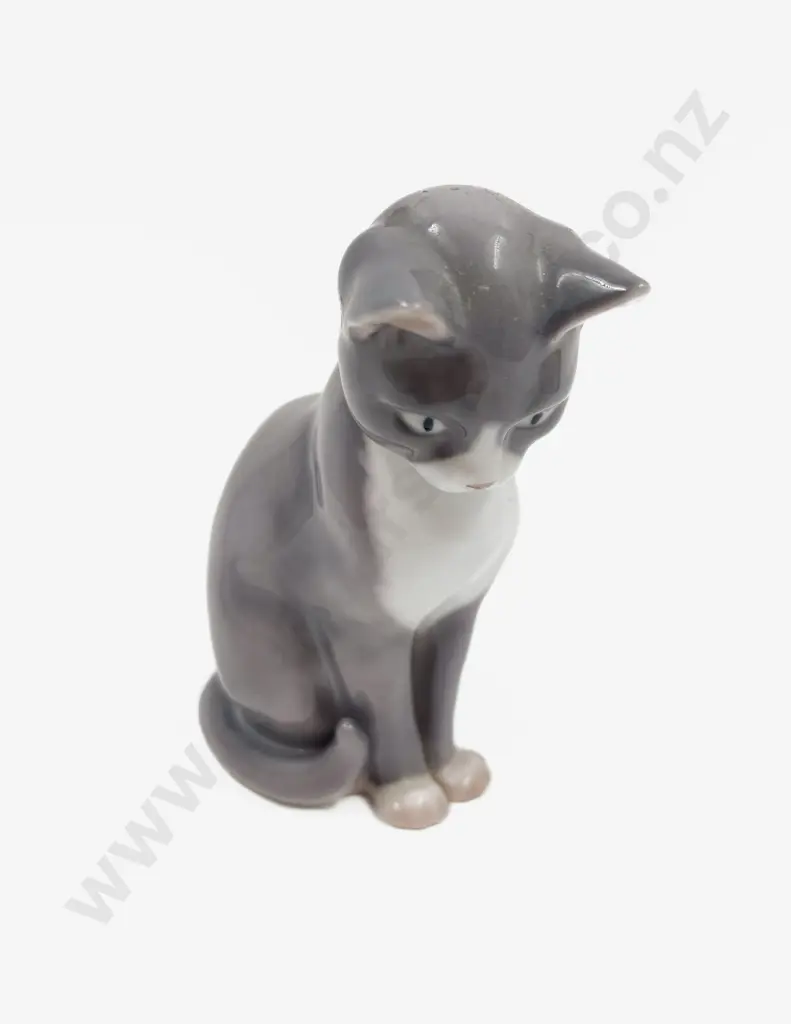 B & G Cat Image 1++