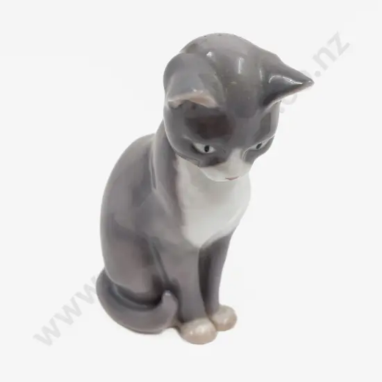 B & G Cat