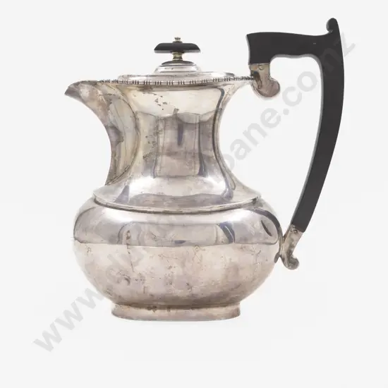Geo VI S/S Hot Water Jug