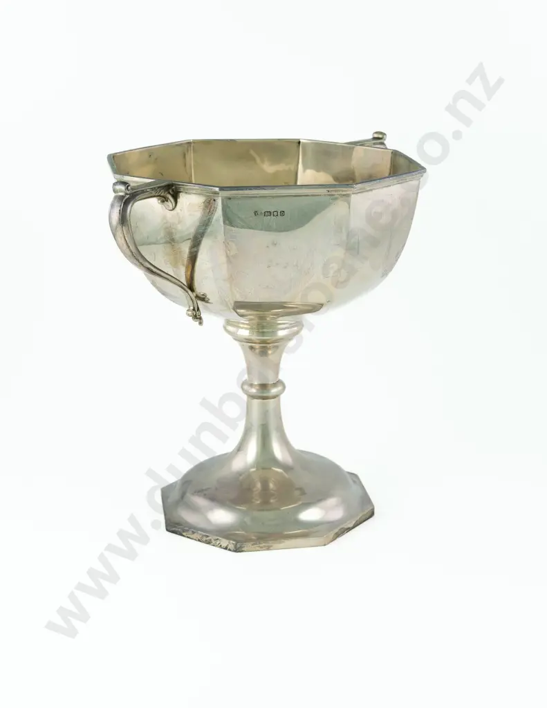 Large Geo V S/S Prize Cup Image 1++