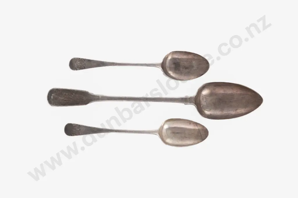 Geo IV S/S Basting Spoon Image 1++