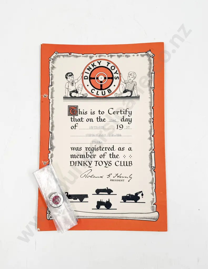 Vintage Dinky Toys Club Enamel Lapel Badge with Two Registrations Image 1++