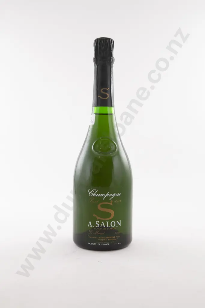 1 Bottle French Salon Cuvee 'S' Le Mesnil Blanc de Blancs Brut Champagne 1976 Image 1++