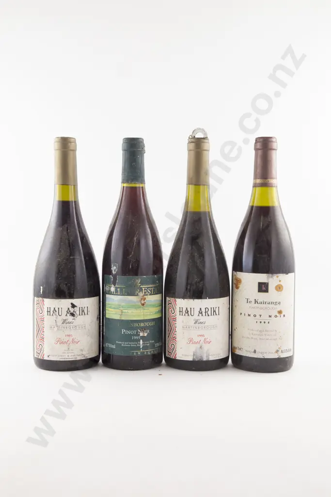 4 Bottles Assorted NZ Martinborough Pinot Noir 1995 Image 1++