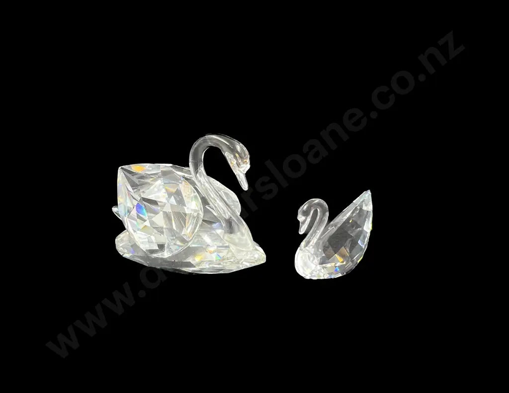 Two Boxed Swarovski Crystal "Beauties of the Lake" Swans Image 1++