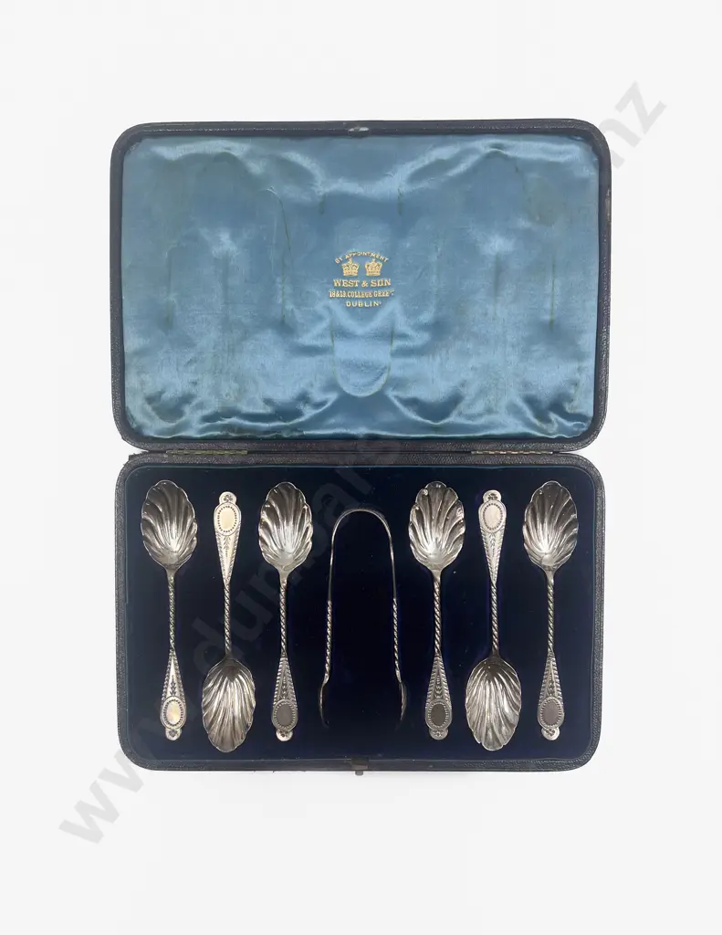 Cased S/S Teaspoons and Tongs Image 1++