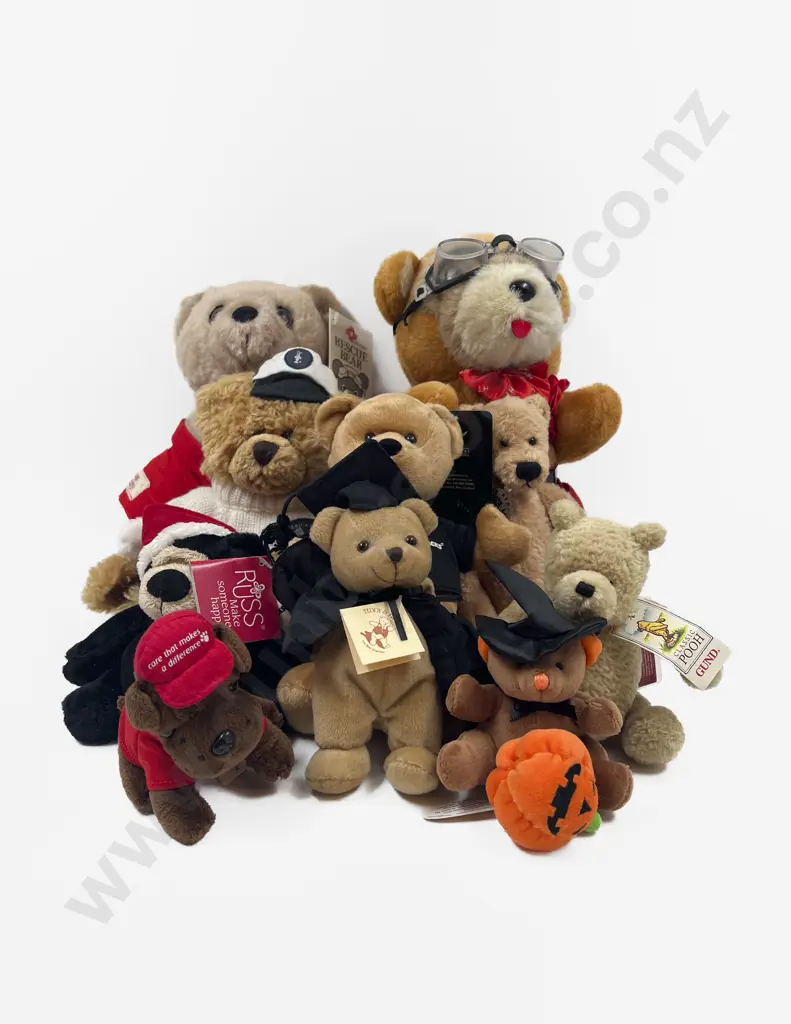 Collection of Assorted Teddy Bears Image 1++