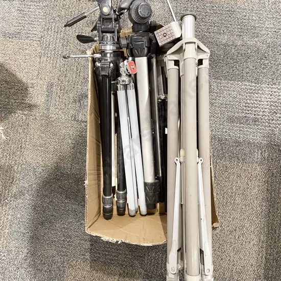 Box of Assorted Tripods