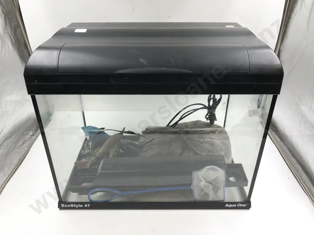 Modern Fish Tank Image 1++