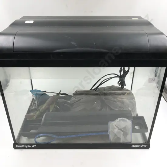 Modern Fish Tank