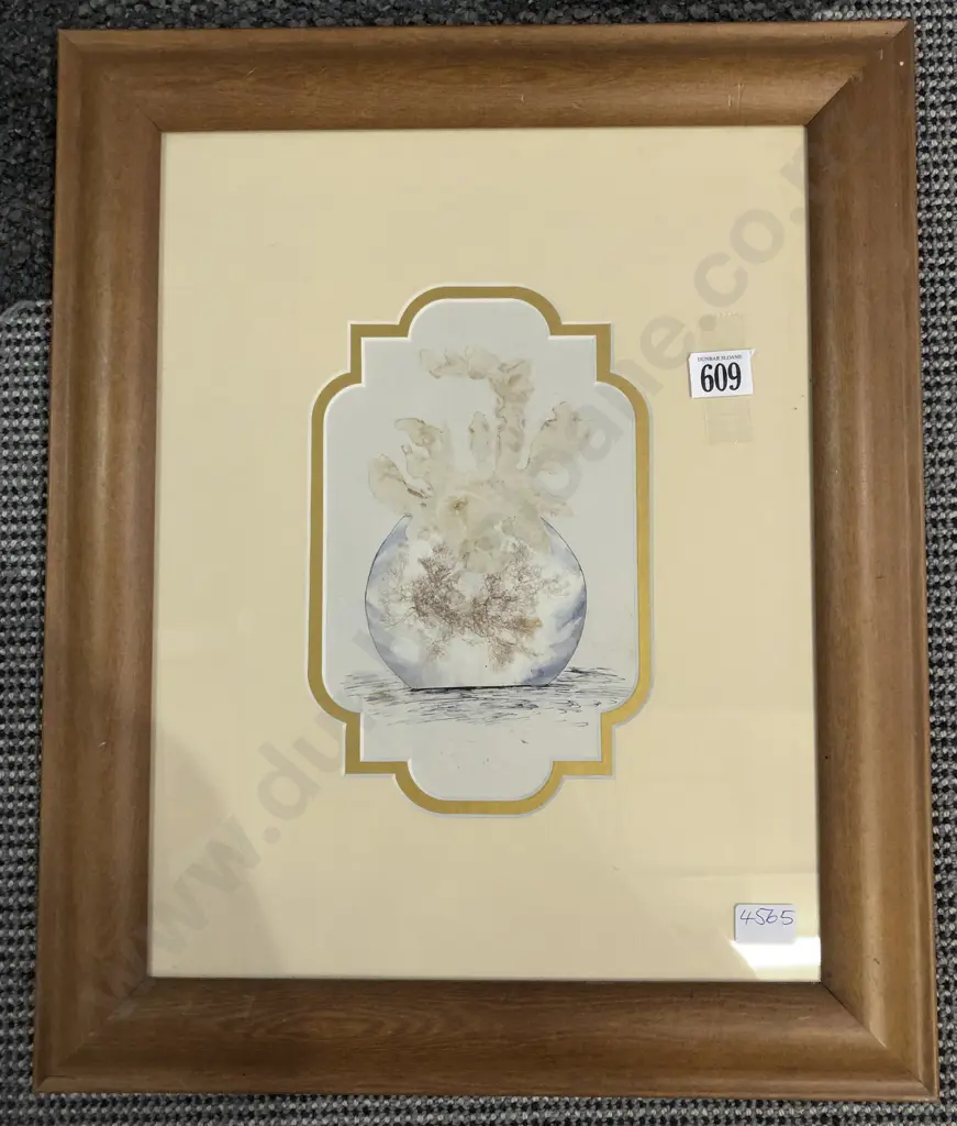 C19th Sea Moss Specimen Image 1++