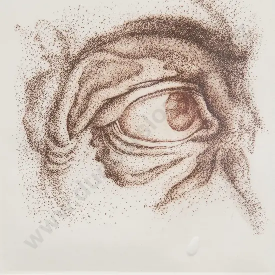 Barry Cleavin (b 1939) - Eye Piece (2nd State)