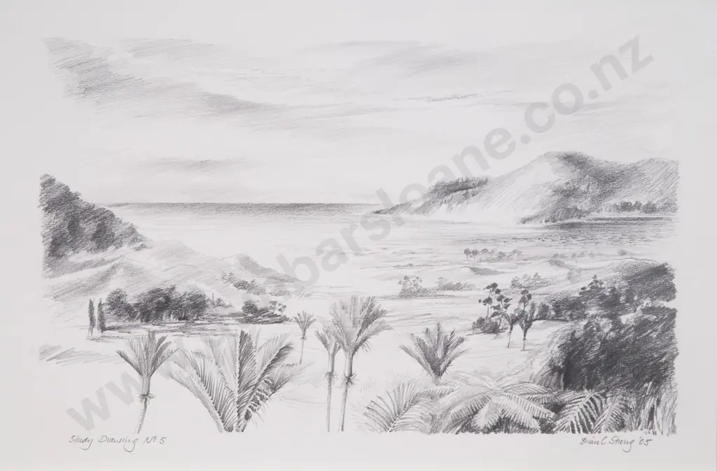 Brian Strong (b 1945) - Study Drawing No 5 Image 1++