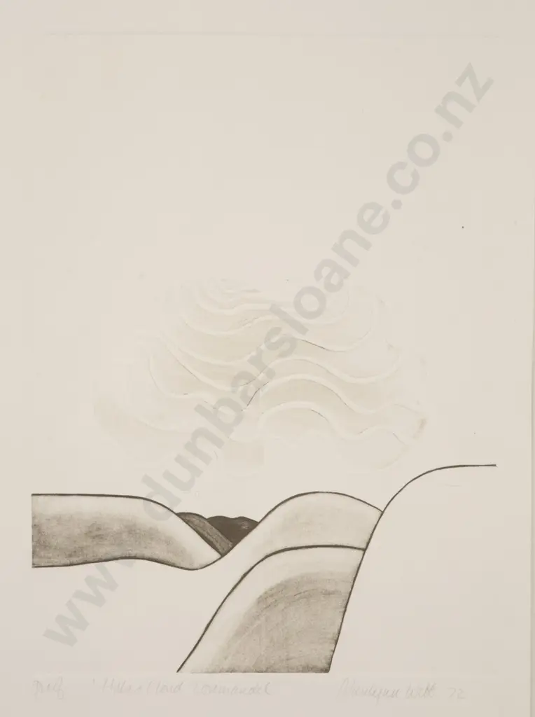 Marilynn Webb (1937 - 2021) - Hills & Cloud Coromandel Image 1++