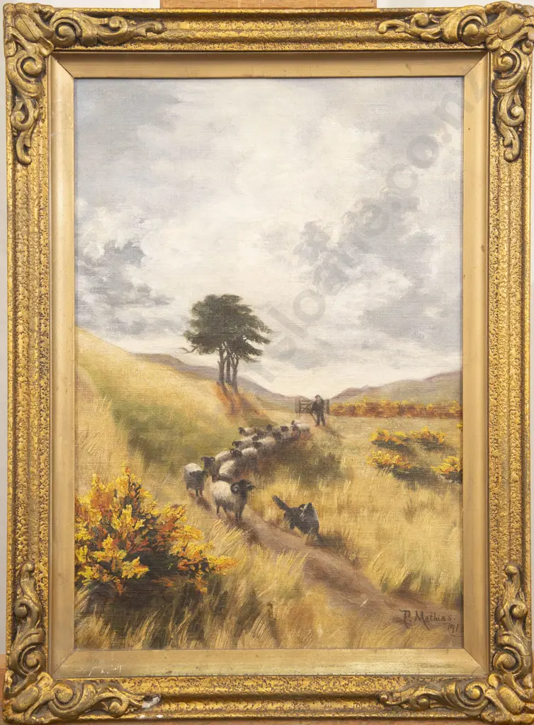 P Mathias - Black Faced Sheep Canterbury Image 1++