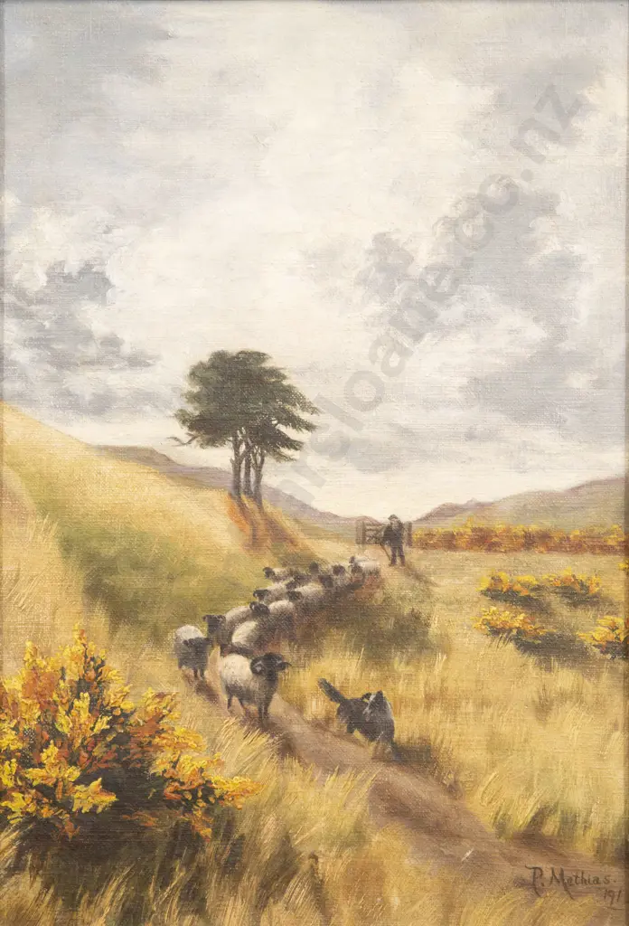P Mathias - Black Faced Sheep Canterbury Image 1++