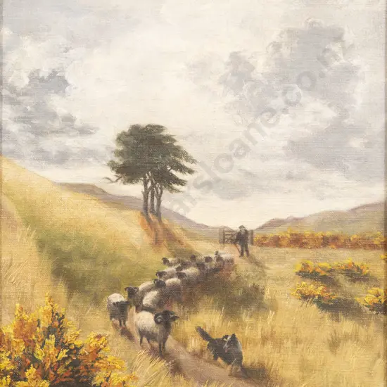 P Mathias - Black Faced Sheep Canterbury