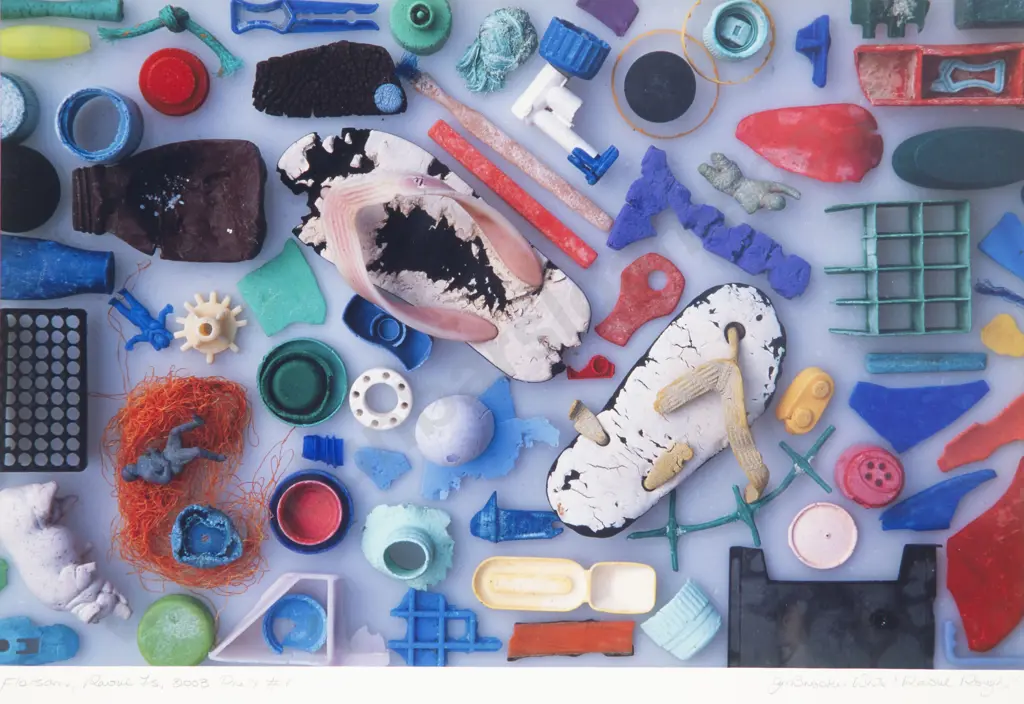 Julia Brooke-White - Flotsam Image 1++