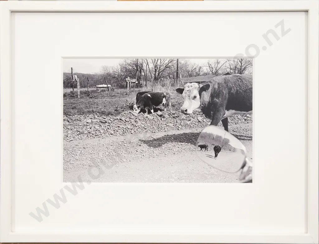 Jim Simmons - Arkansas 1974 Image 1++