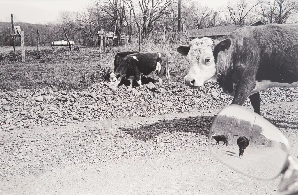 Jim Simmons - Arkansas 1974 Image 1++