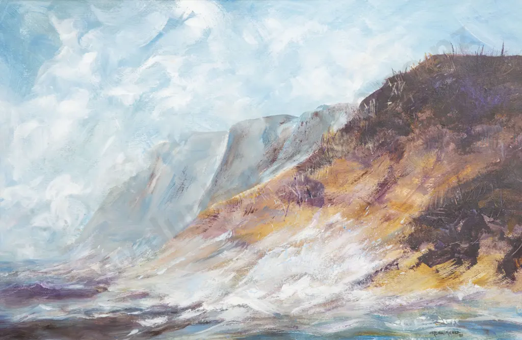 Robin Arnst - Coastal Landscape Image 1++