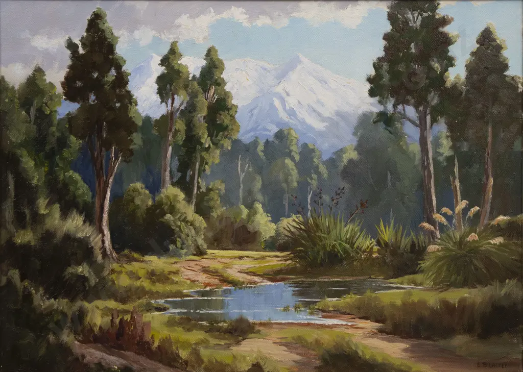 E B Lattey (1899 - 1986) - Tawhitikuri National Park Image 1++