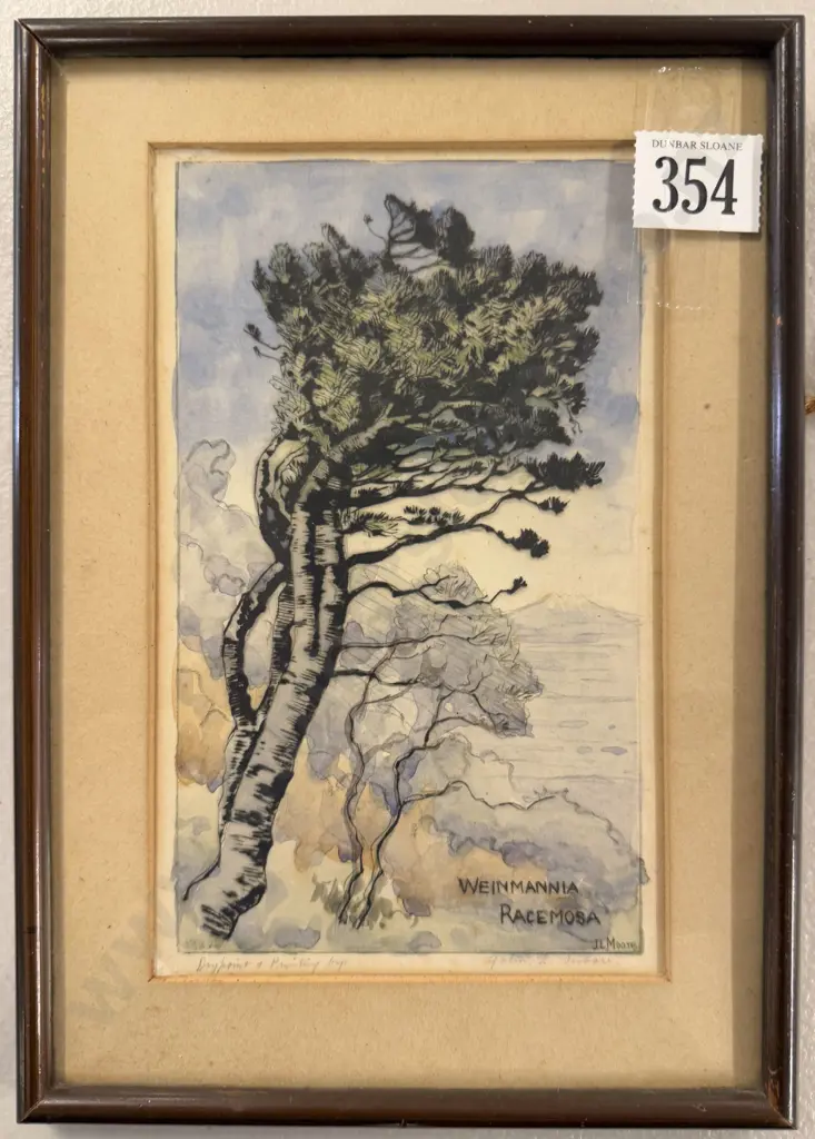 John Lysaght Moore (1897 - 1965) - Weinmannia Racemosa Image 1++