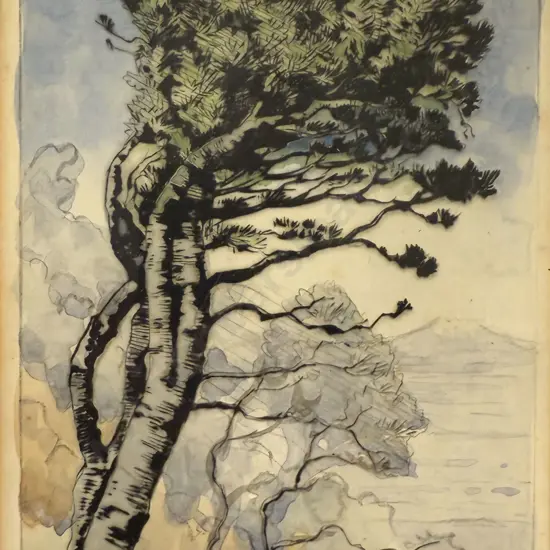 John Lysaght Moore (1897 - 1965) - Weinmannia Racemosa