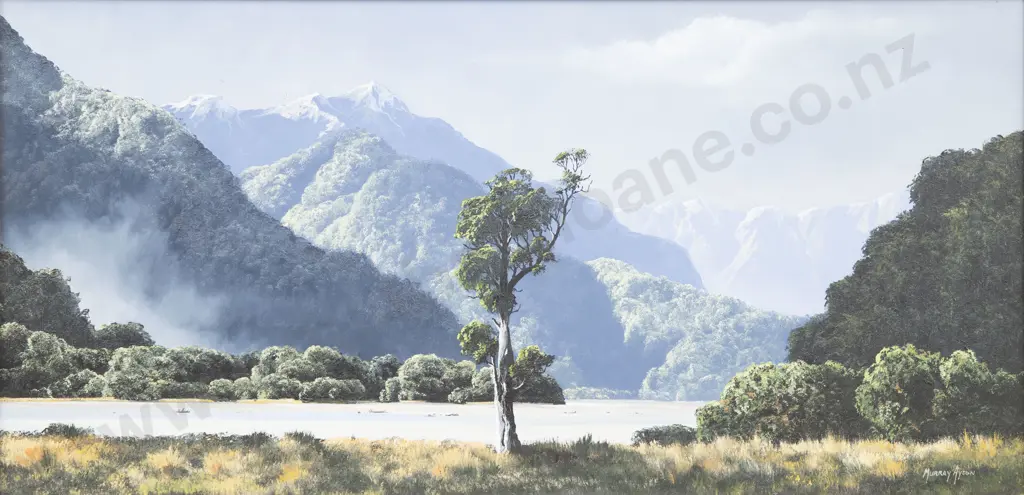 Murray Ayson - Lower Haast Image 1++
