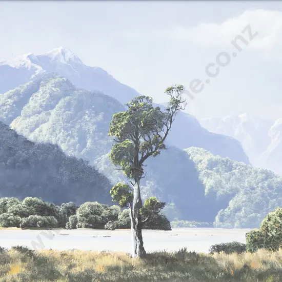 Murray Ayson - Lower Haast
