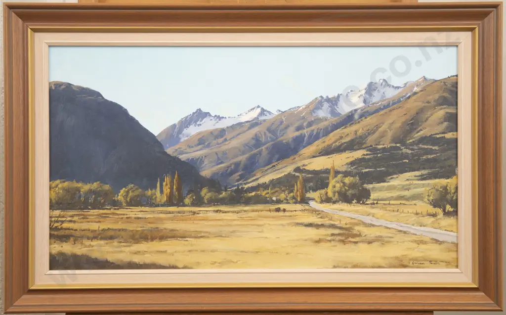 Graham Taylor - Ree's Mountains Glenorchy Otago Image 1++
