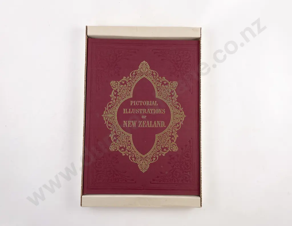 Brees Samuel Charles - Pictorial Illustrations of New Zealand Image 1++