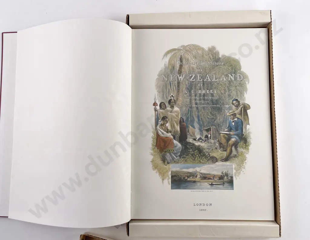 Brees Samuel Charles - Pictorial Illustrations of New Zealand Image 1++