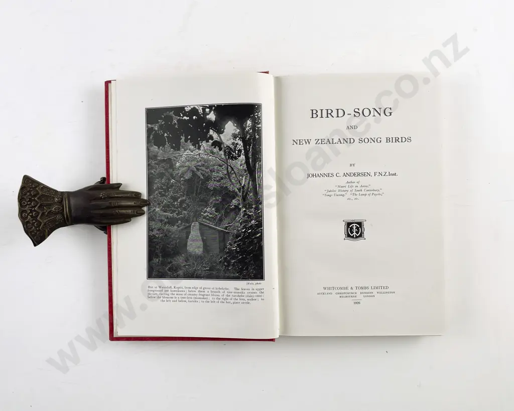 Andersen Johannes M - Bird-Song and New Zealand Song Birds Image 1++