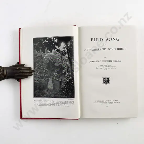 Andersen Johannes M - Bird-Song and New Zealand Song Birds