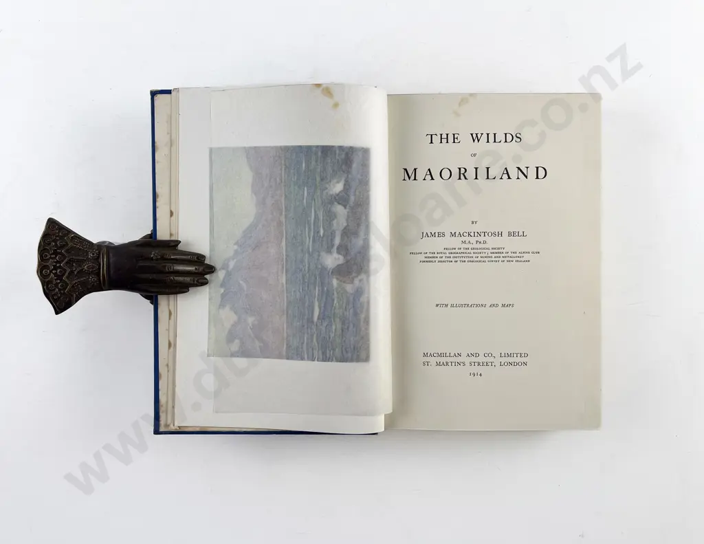 Bell James Mackintosh - The Wilds of Maoriland Image 1++
