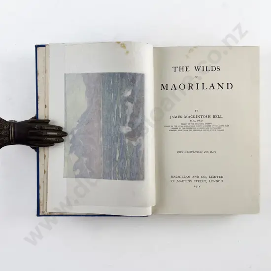 Bell James Mackintosh - The Wilds of Maoriland