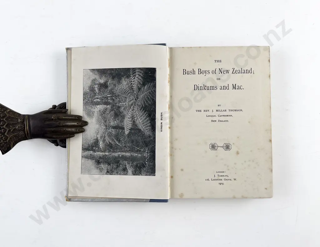 Thomson The Rev J Millar - The Bush Boys of New Zealand or Dinkums and Mac Image 1++