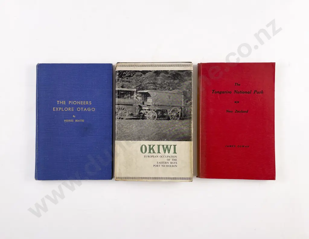3 NZ Topographical Volumes Image 1++