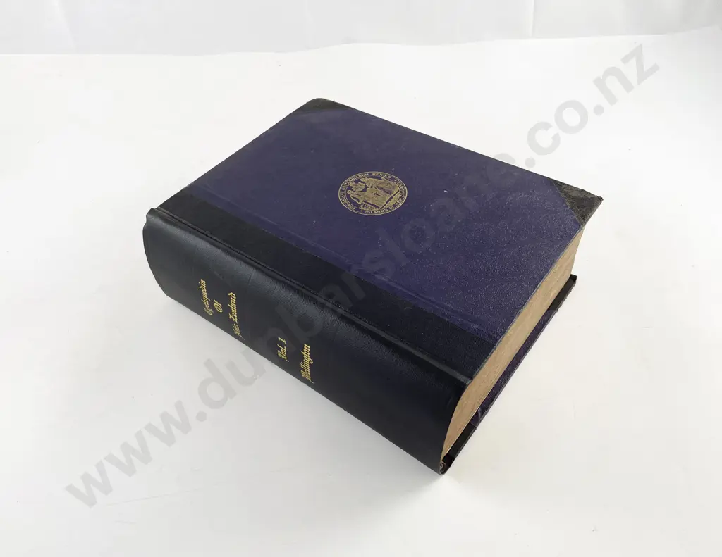 The Cyclopedia of New Zealand Vol 1 Wellington Provincial District Image 1++