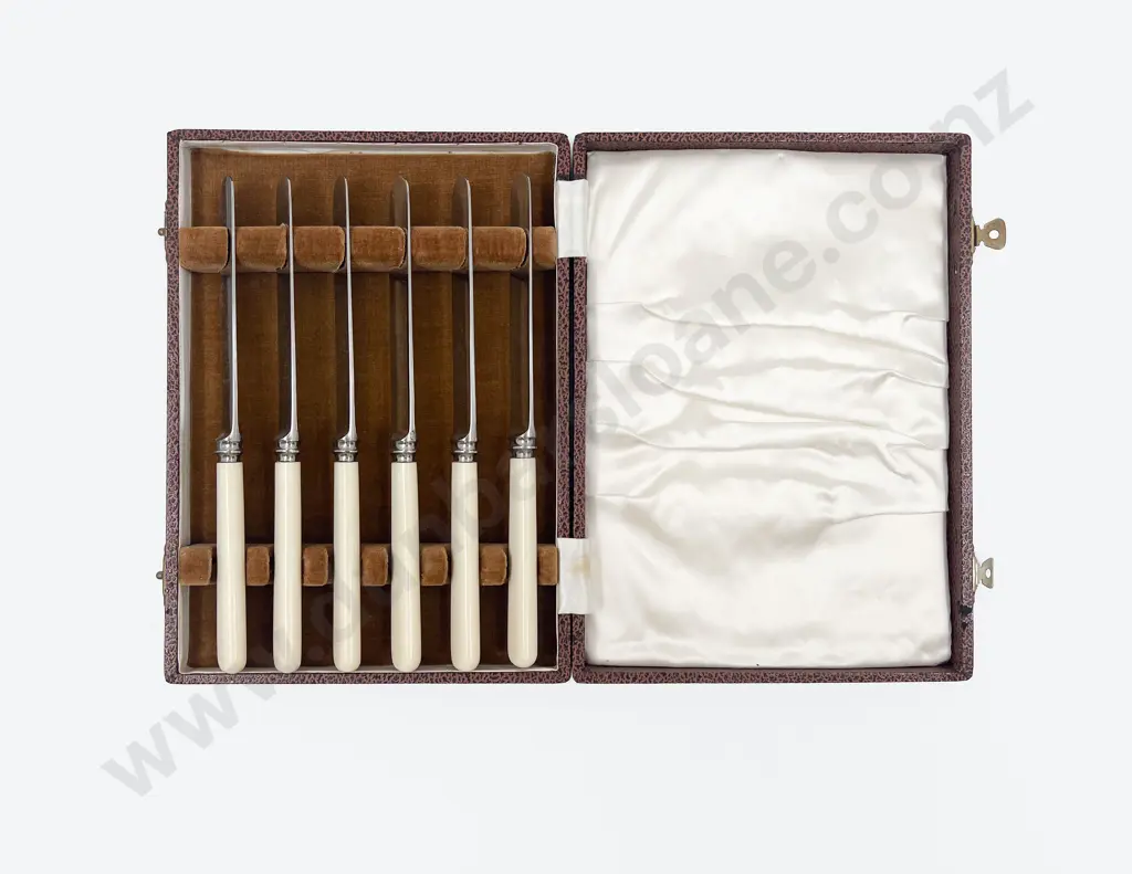 Cased Set of Six Fruit Knives Image 1++