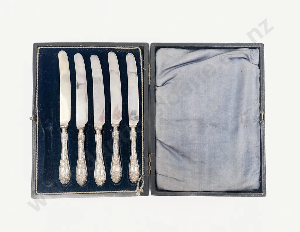 Cased Set of Five S/S Handled Fruit Knives (One Missing) Image 1++