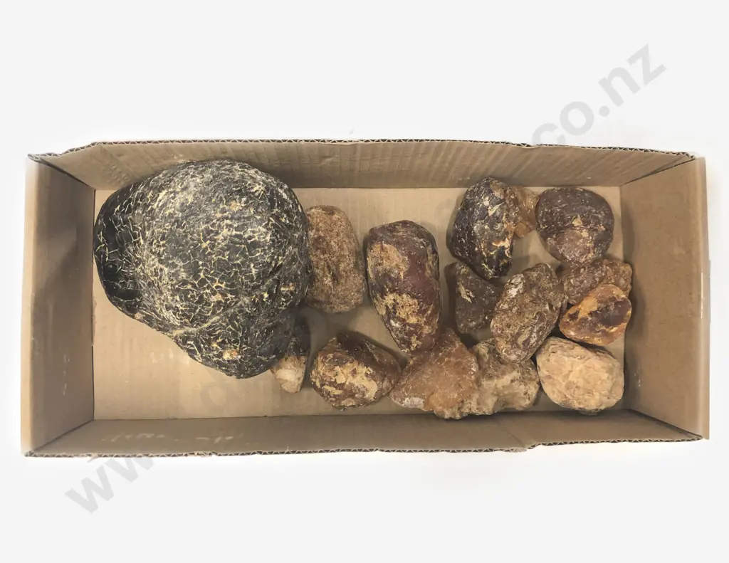Small Quantity of Assorted Kauri Gum Image 1++