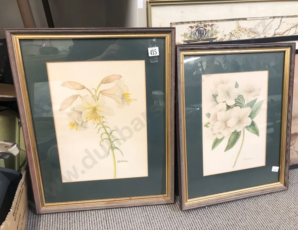 Two Flower Studies by E.M. Wilcox - Watercolour Image 1++