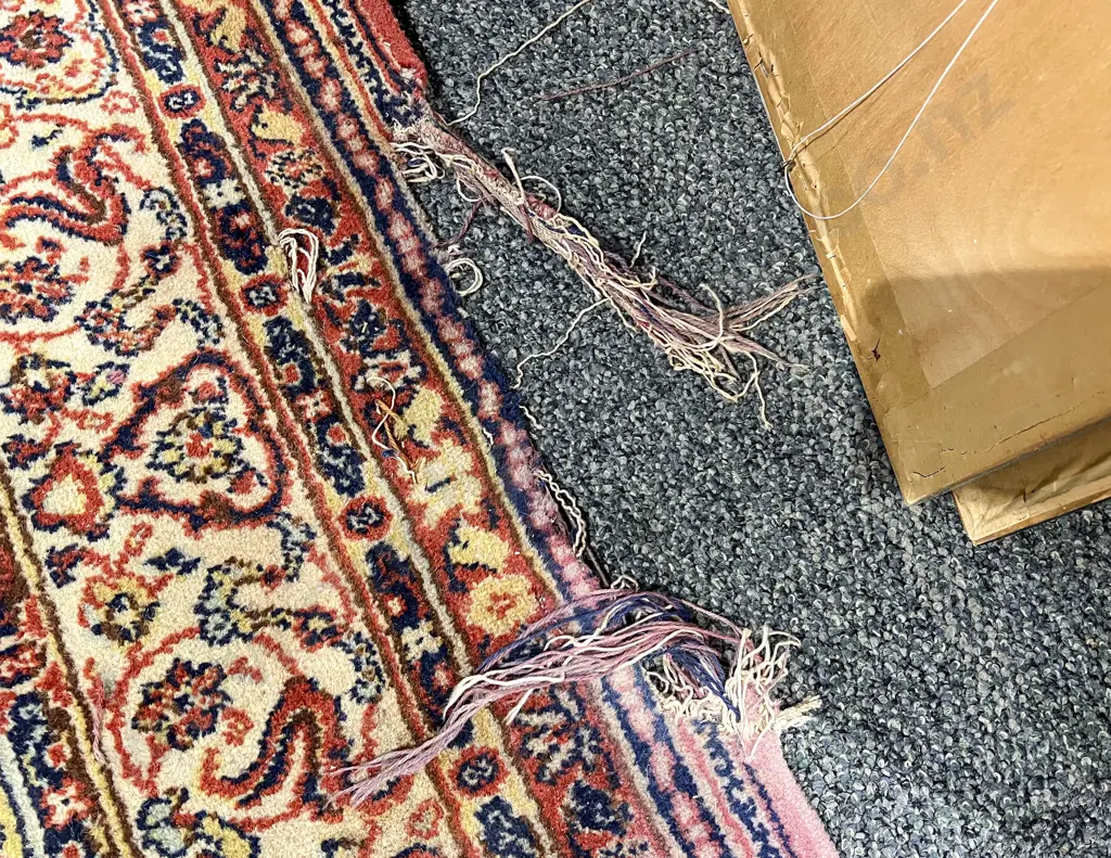 Large Persian Style Floor Rug Image 1++